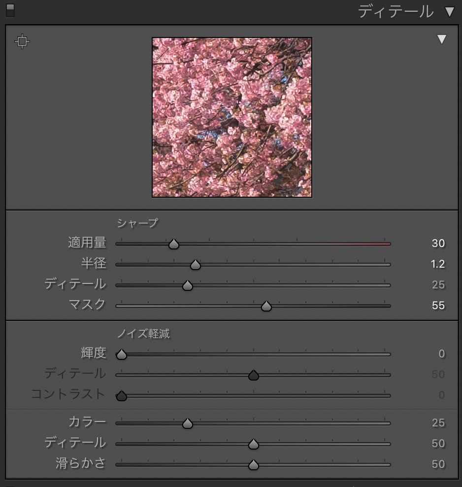 桜の花　Lightroom Classic 写真現像　レタッチ